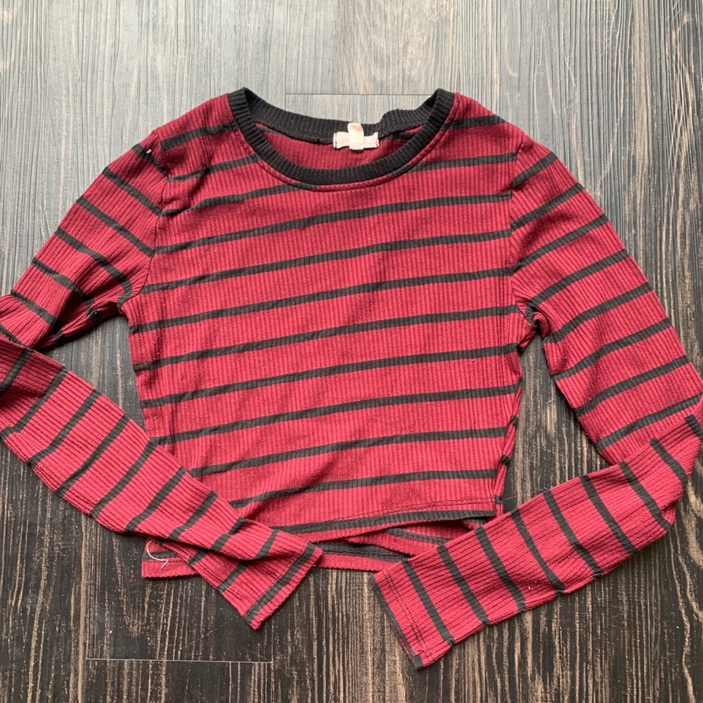 Silence + Noise Cropped Long Sleeve